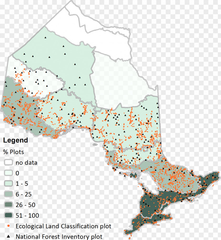 Line Point Map Highway M04 Organism PNG