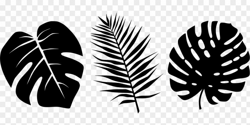 Logo Wing Palm Leaf PNG