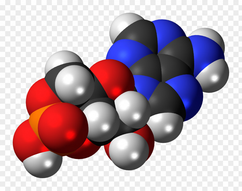 Molecule Nucleotide Cyclic Adenosine Monophosphate Triphosphate PNG
