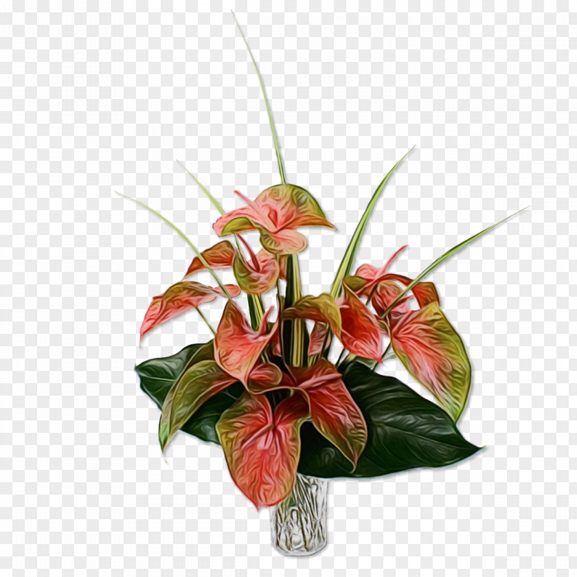 Painter's-palette Flower Bouquet Cut Flowers Plants PNG