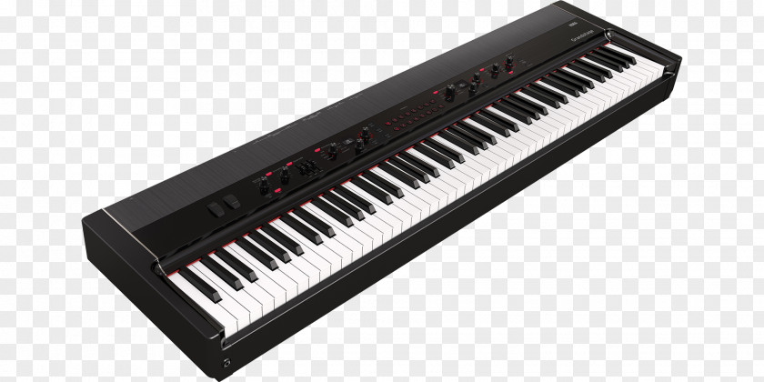Piano Keyboard Korg Stage Digital Action PNG