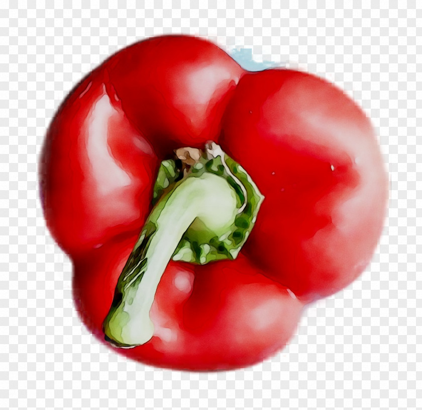 Plum Tomato Chili Pepper Cayenne Bell Food PNG