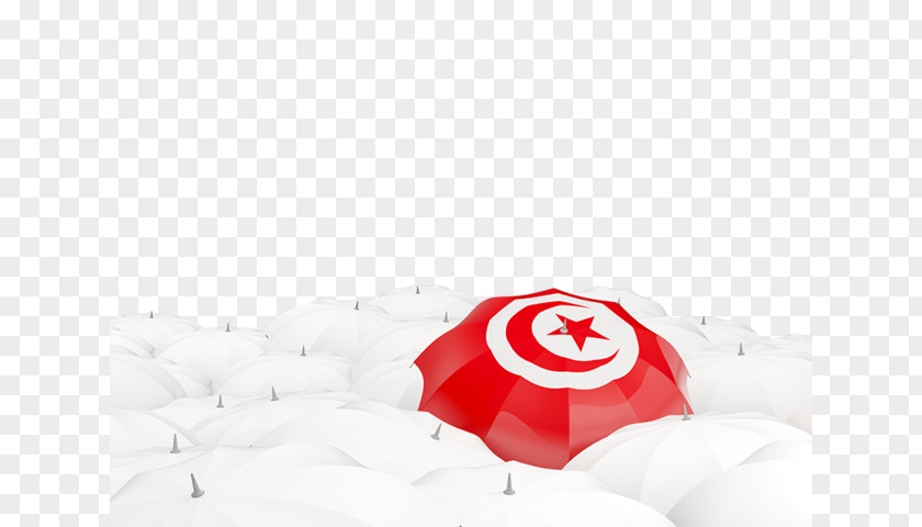 Switzerland Flag Of Ivory Coast PNG