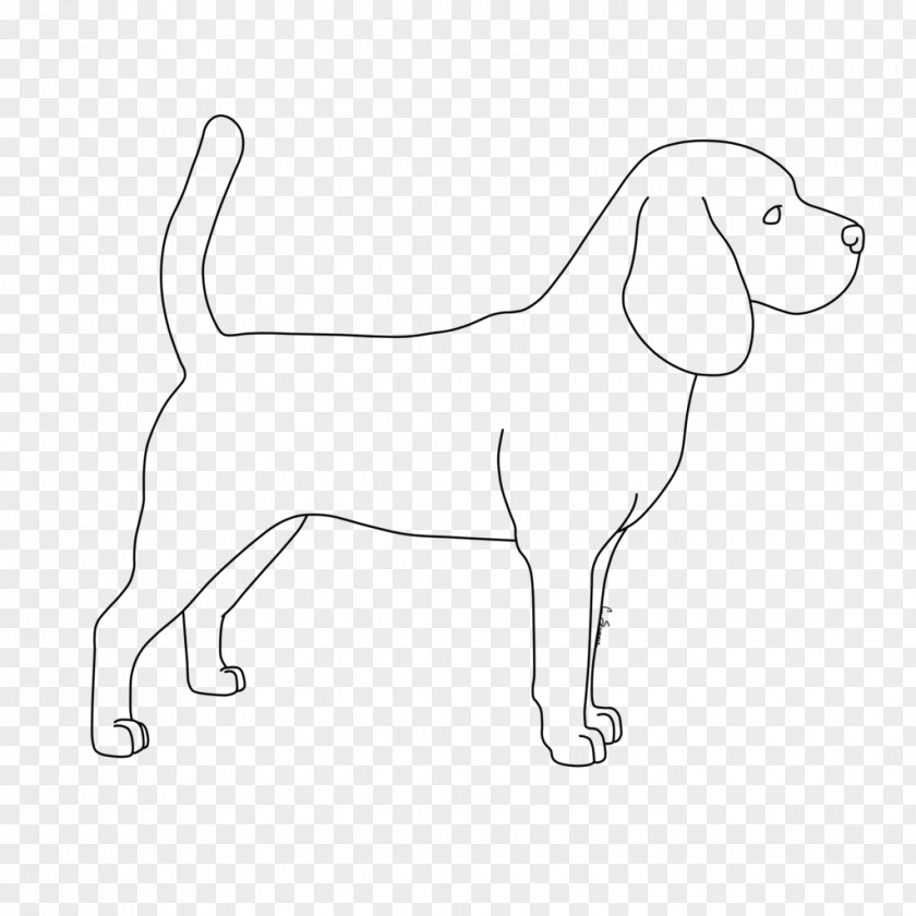 Beagle Dog Breed Puppy Sporting Group Line Art Retriever PNG