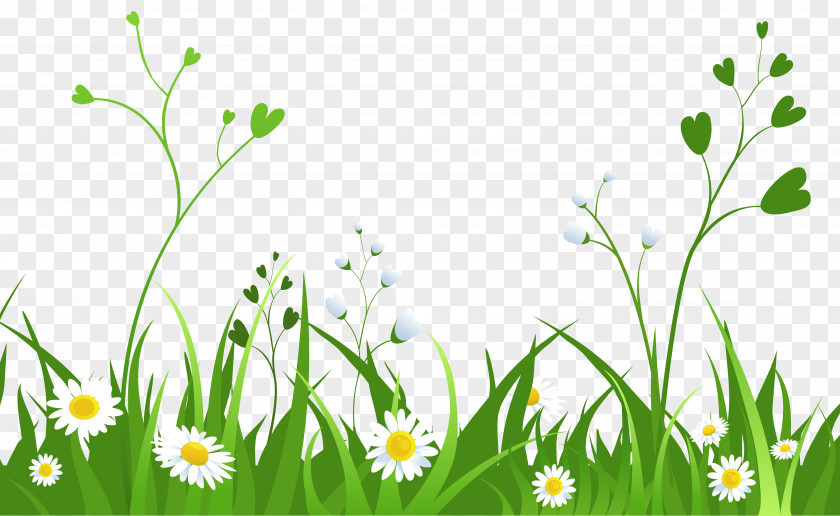 Daisies With Grass Clipart Picture Clip Art PNG