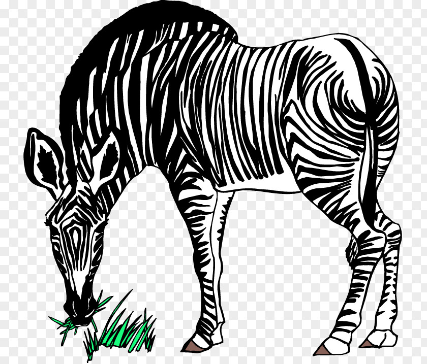 Tiger Stripes Clipart Zebra Free Content Stock.xchng Clip Art PNG
