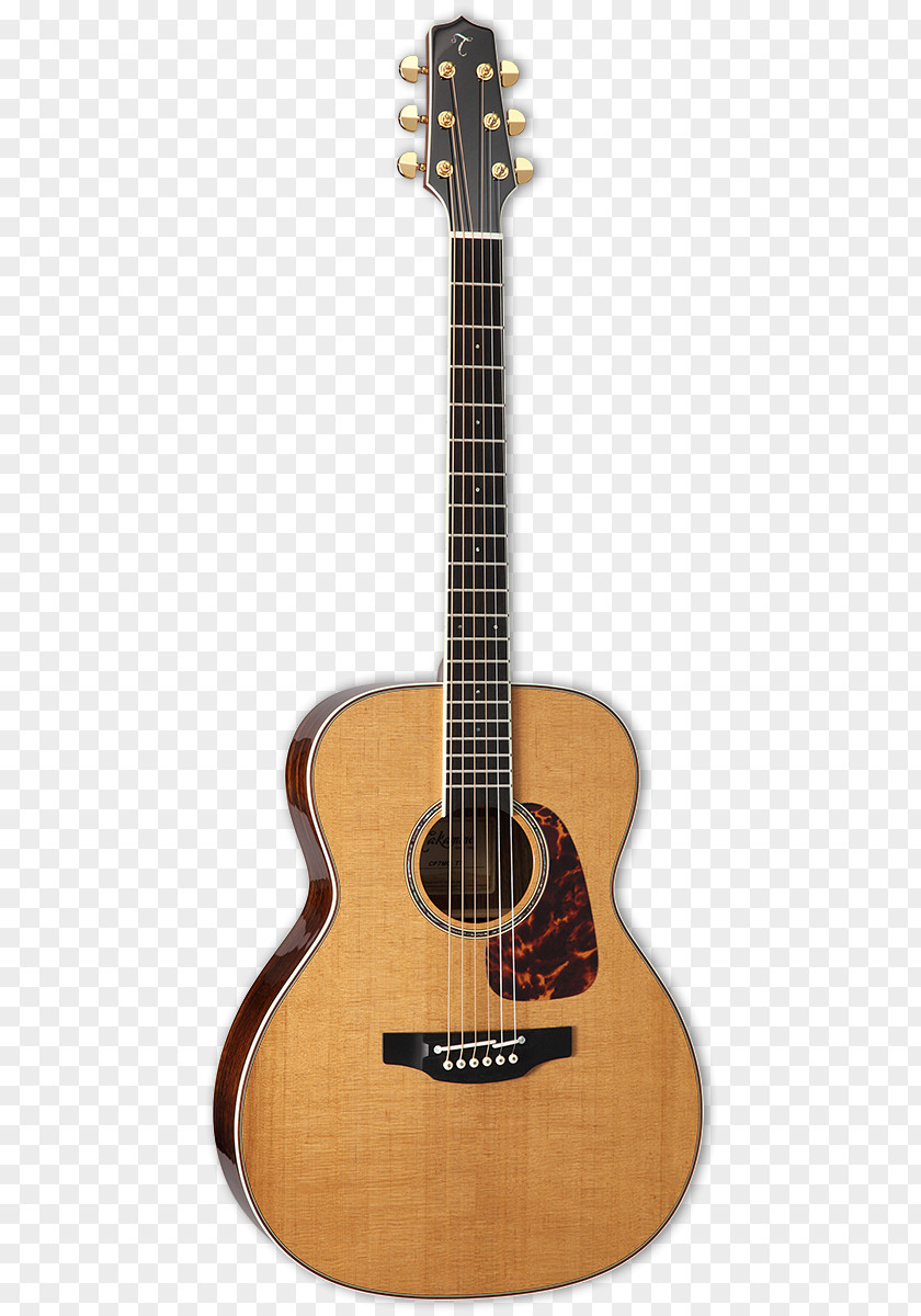 Acoustic Guitar Acoustic-electric Takamine Guitars Dreadnought PNG