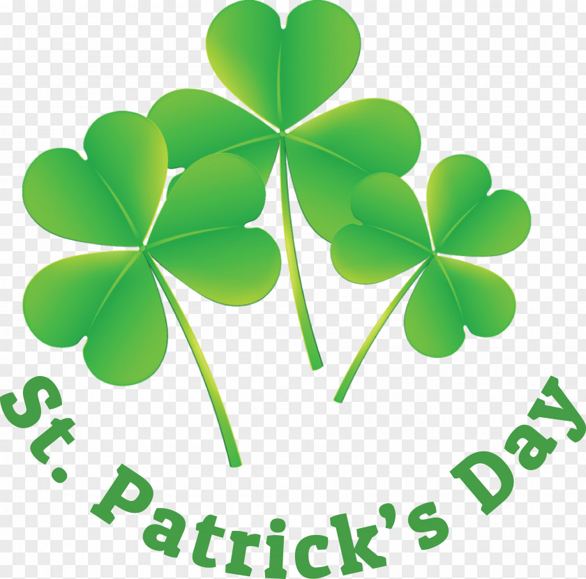 Shamrock PNG