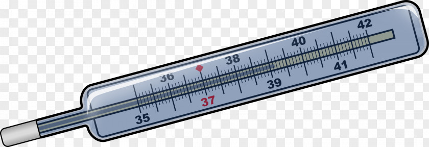 Thermometer Temperature Celsius Clip Art PNG