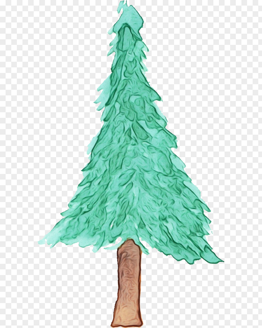 Woody Plant Conifer Christmas Tree PNG