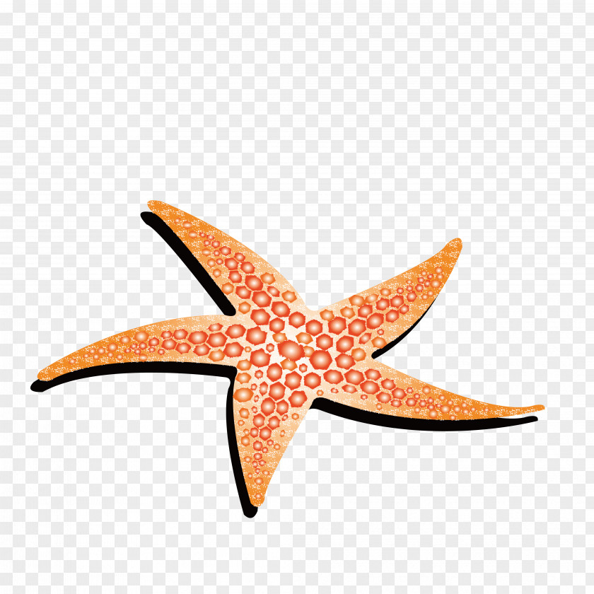 Yellow Starfish Animation PNG