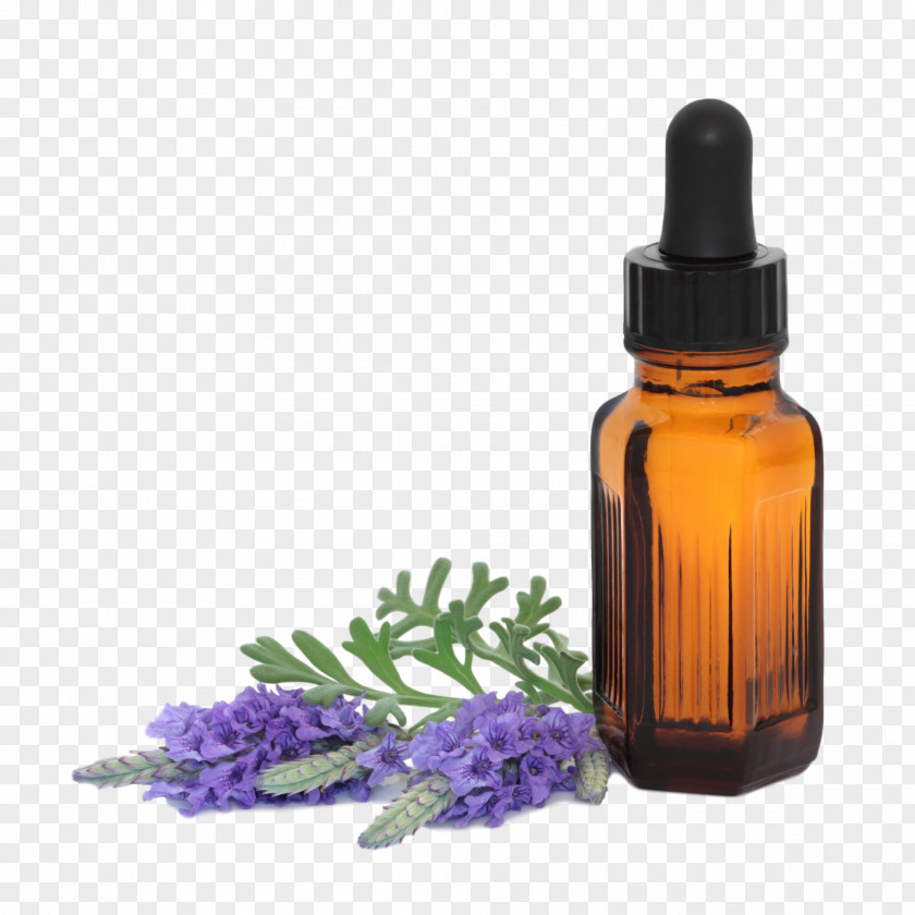 Aromatherapy Essential Oil Lavender English PNG