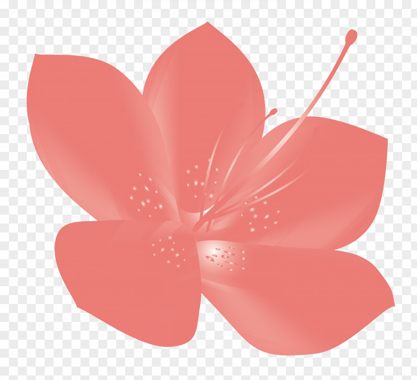 Azalea Spring Flower PNG