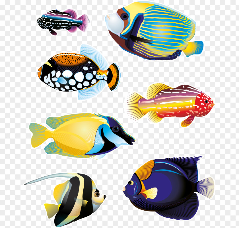 Fish Sticker Wall Decal Paper PNG