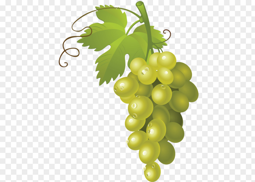 Grape White Wine Muscat Clip Art PNG