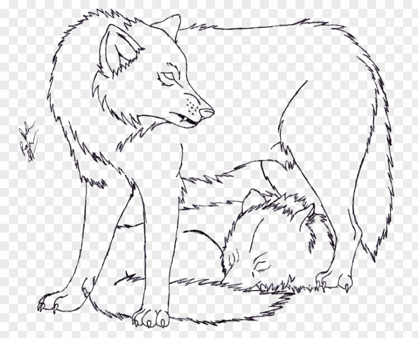 Photo-print Gray Wolf Red Fox Snout Line Art Drawing PNG