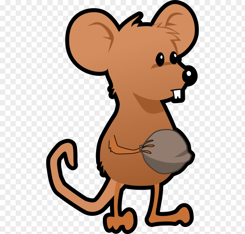 Squirrel Walnut Rodent Brown Rat Cat Clip Art PNG