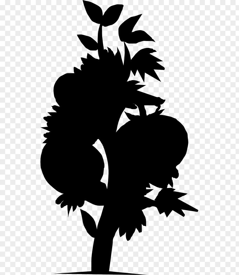 Clip Art Tomato Agriculture Drawing Image PNG