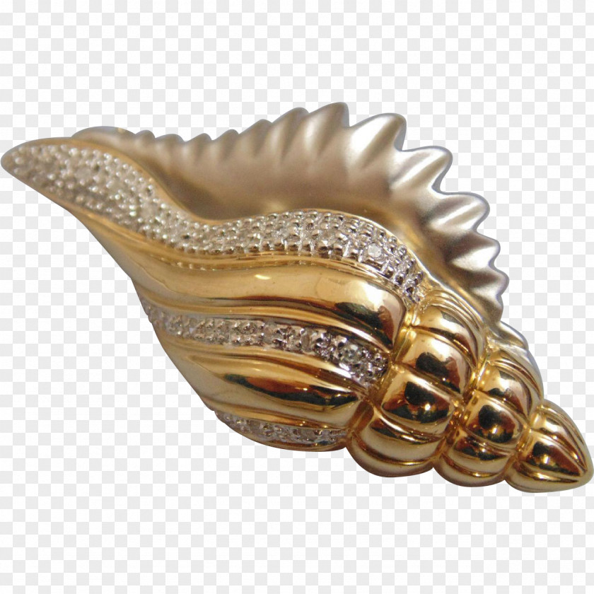 Conch Shankha Seashell Gold Brooch PNG