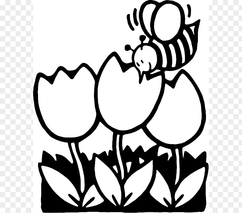 Flower Line Art Black And White Clip PNG