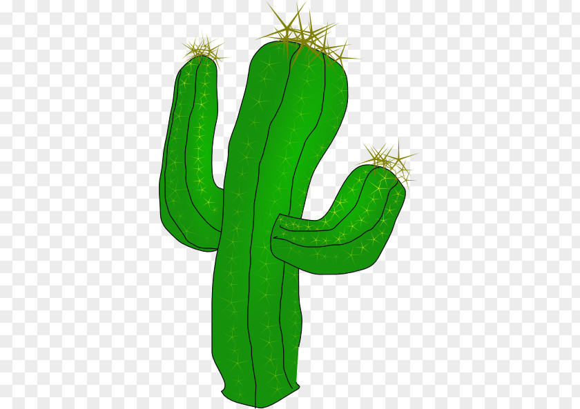 Green Cactus Cactaceae Saguaro RTM RANCH Clip Art PNG