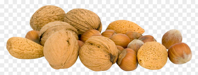Nuts Walnut Icon PNG