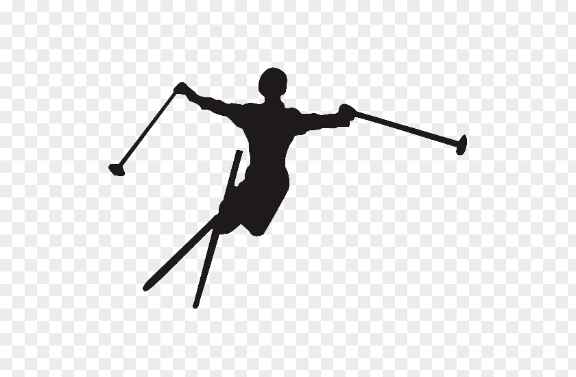 Adn Ski Powder Alpine Skiing Freestyle Poles PNG