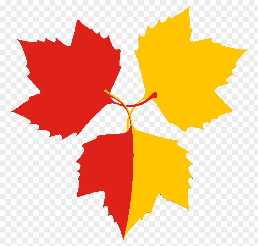 Leaf Maple American Sycamore Heraldry Gules PNG
