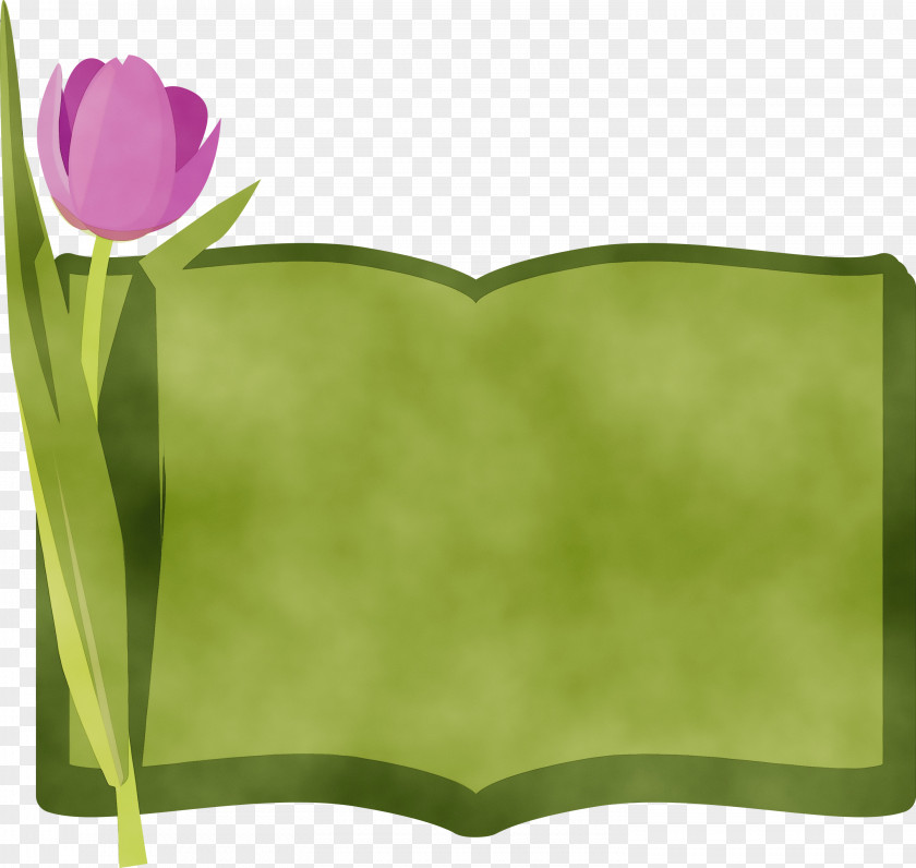 Leaf Rectangle Green Petal Flower PNG