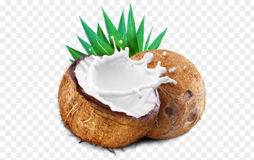 Milk Coconut Powder PNG