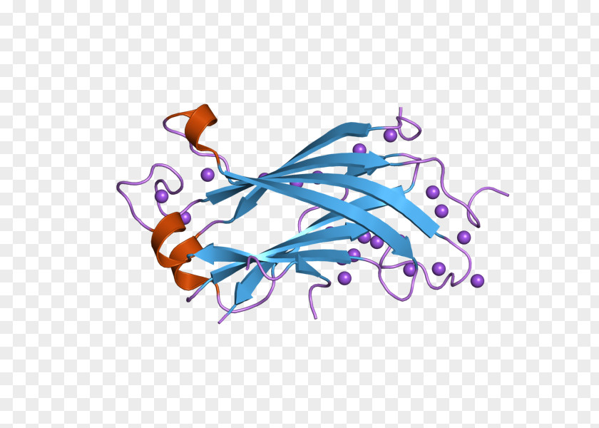 USP7 Ubiquitin P53 RELA Protease PNG