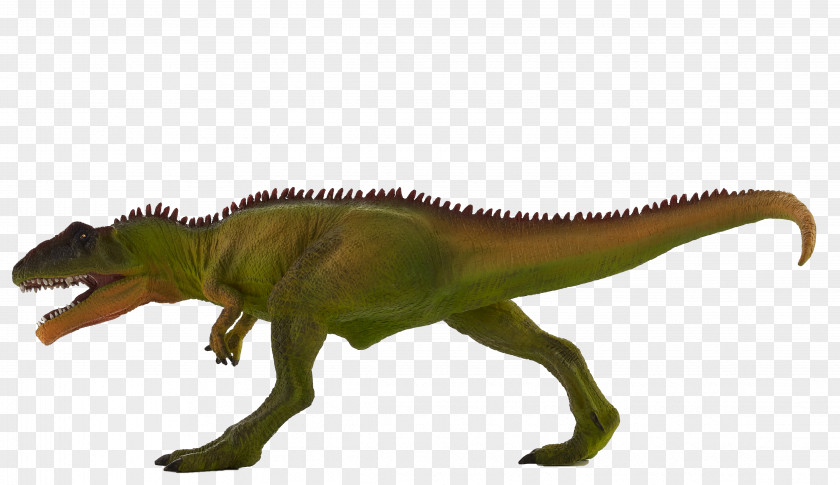 T-rex Giganotosaurus Spinosaurus Tyrannosaurus Deinonychus Baryonyx PNG