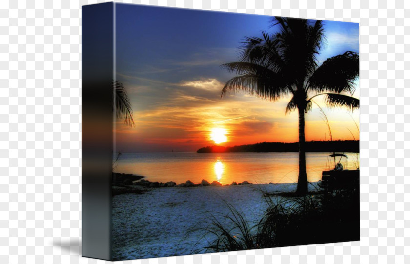 Beach Sunset Sky Plc PNG