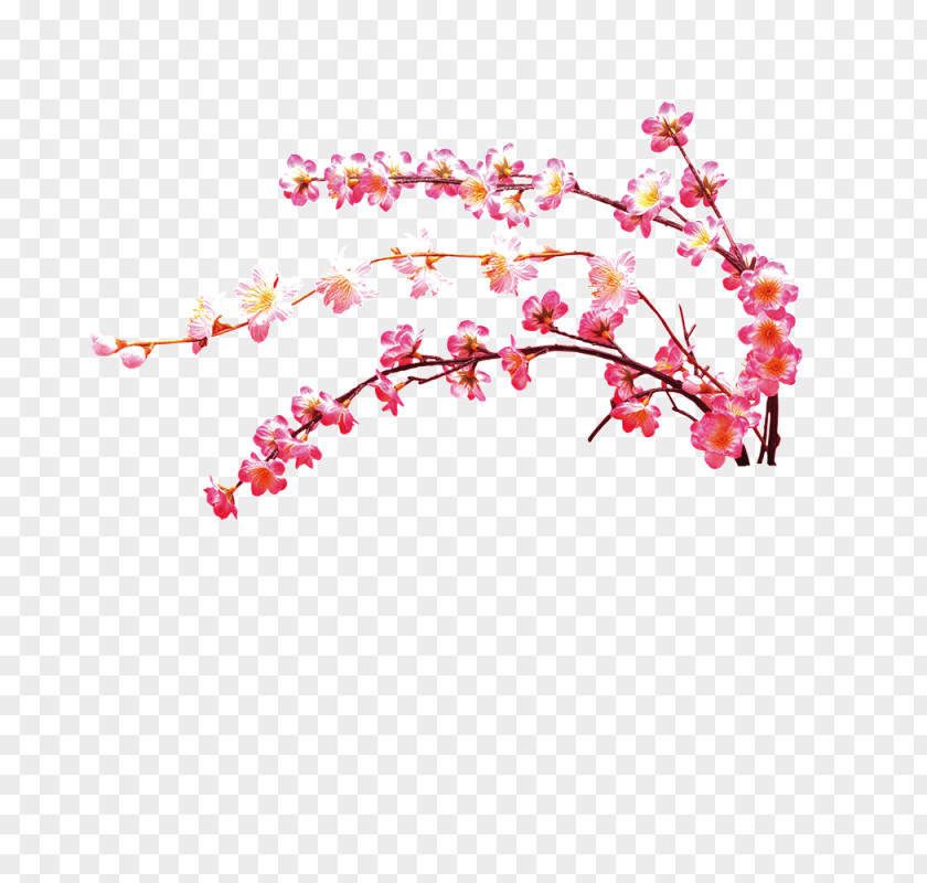 Cherry Blossoms Download Plum Blossom PNG