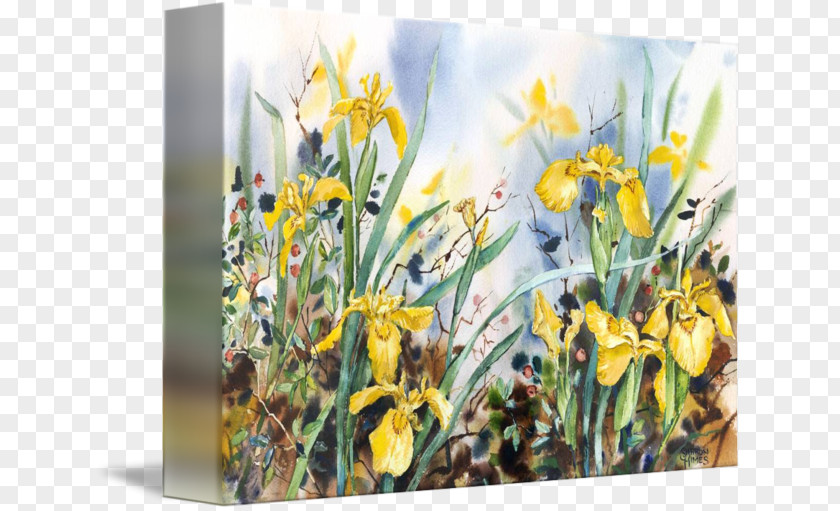 Design Floral Narcissus Wildflower PNG