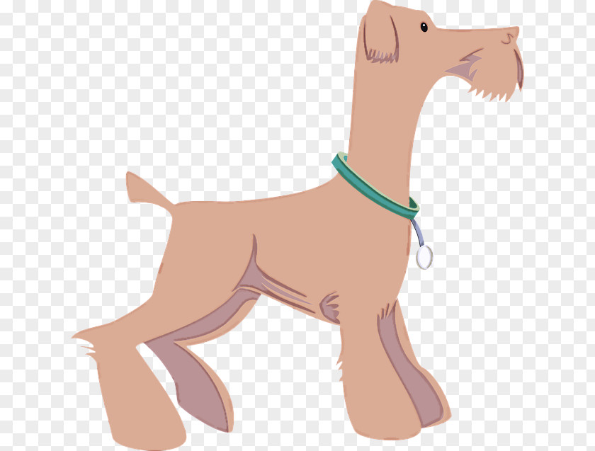 Dog Tail Fawn Liver Airedale Terrier PNG