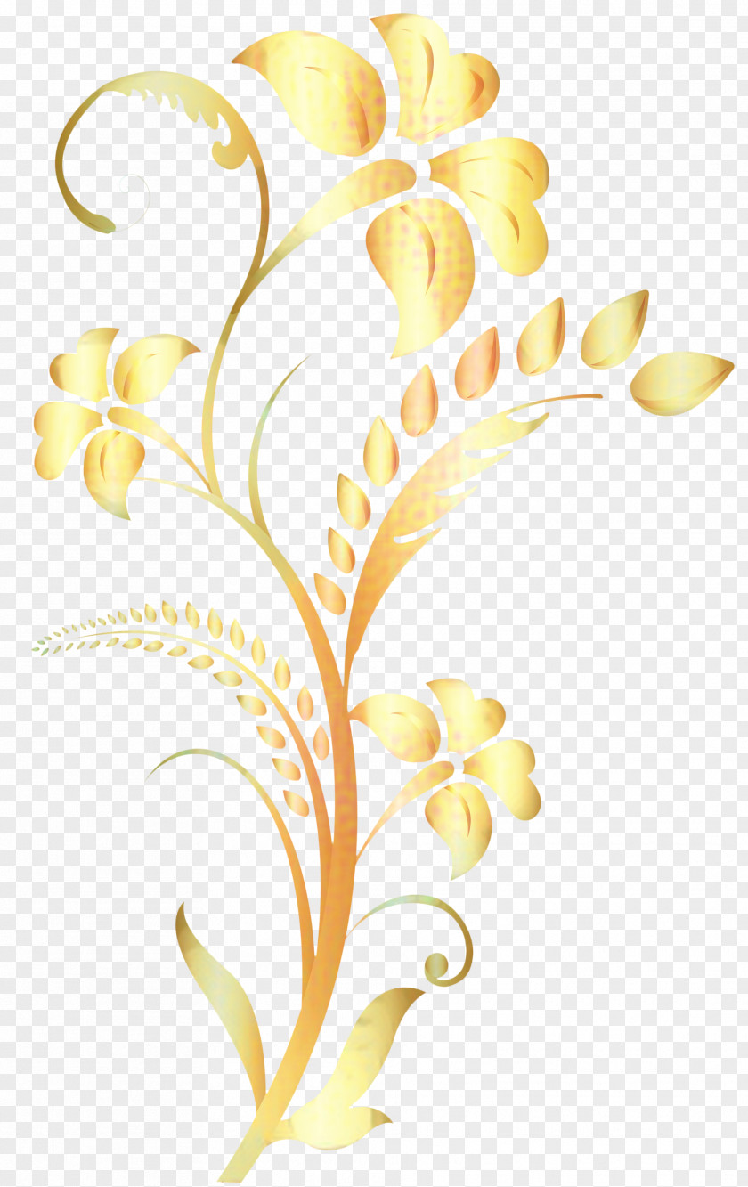 Flower Pedicel Floral Petal PNG