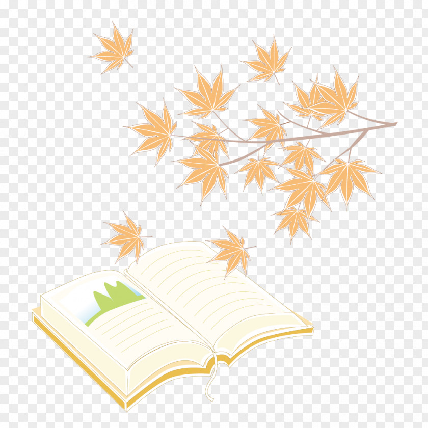 Maple Leaf Notebook Paper Drawing Illustration PNG