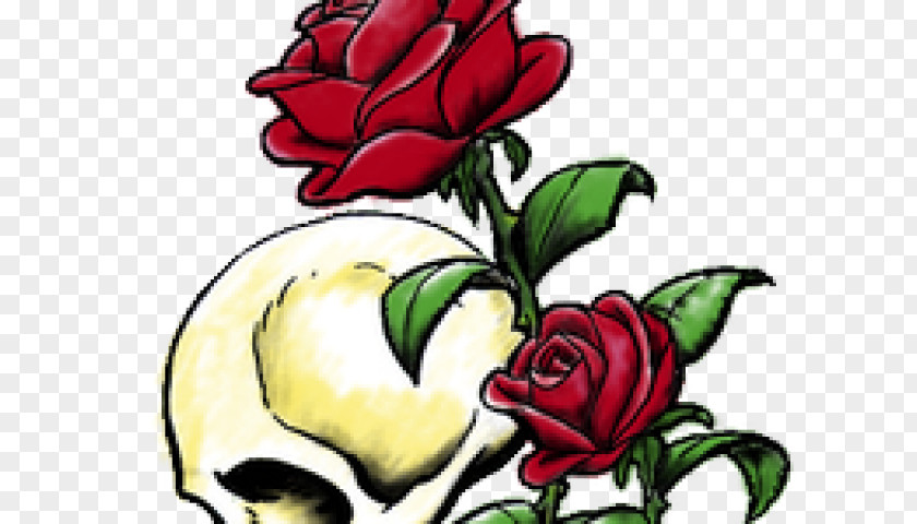 Roses Tattoo Floral Design Rose Drawing PNG