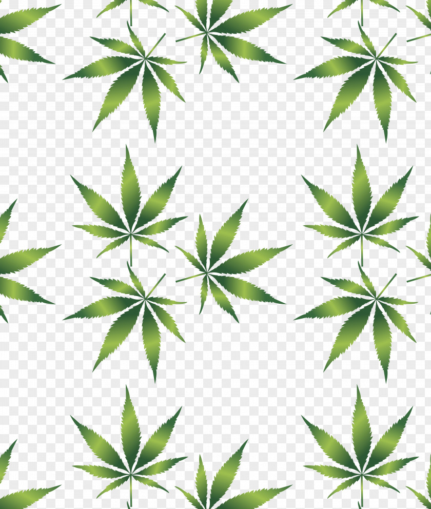 Skunk Medical Cannabis Leaf Hemp Drug PNG