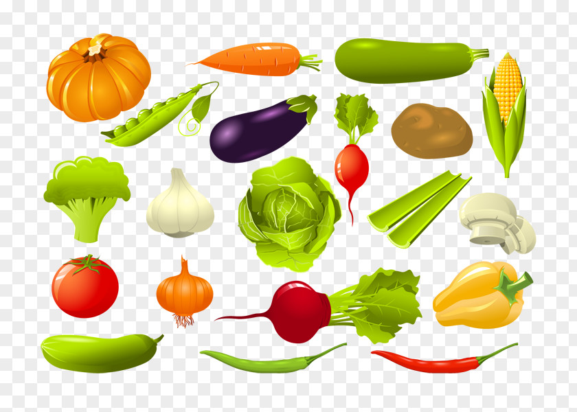 Vegetable Vegetarian Cuisine Vector Graphics Clip Art Illustration PNG