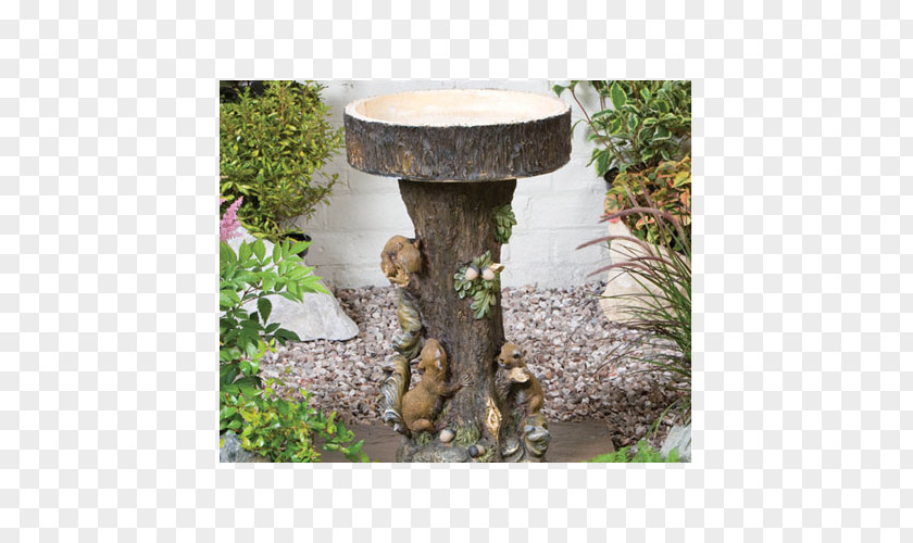 Bird Bath Baths Fountain Garden Bathing PNG