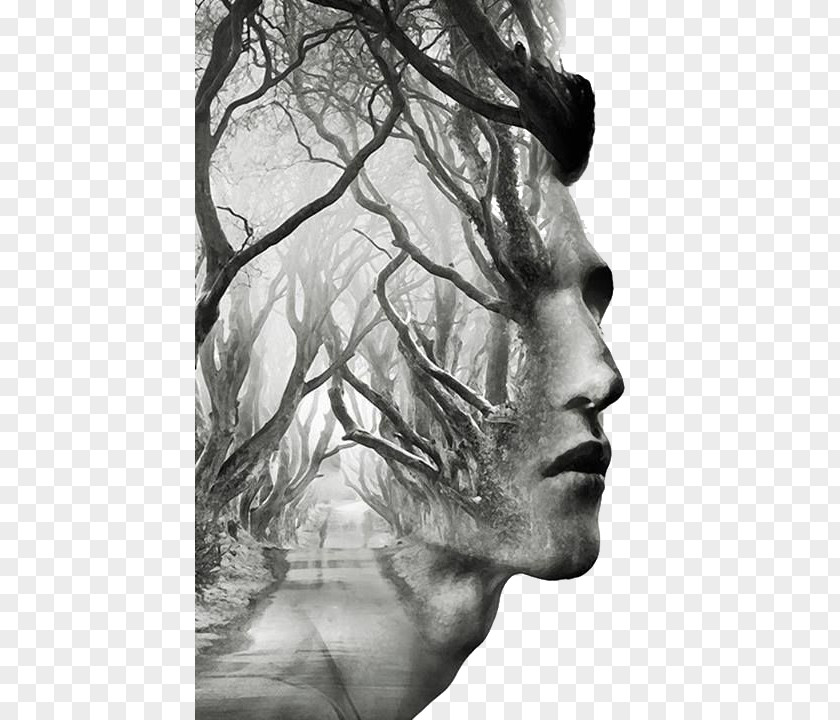 Creative Man Avatar Dark Hedges Tree Art Multiple Exposure PNG