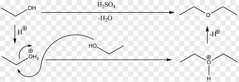 Ether Williamson Synthesis Dehydration Reaction Alcohol Химические свойства спиртов PNG