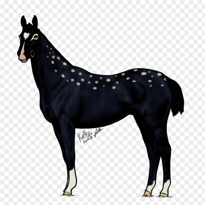 Flint Lockwood Mule DeviantArt Foal Artist PNG