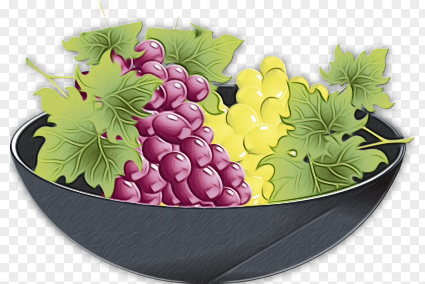 Food Seedless Fruit Grape Grapevine Family Leaves Plant PNG