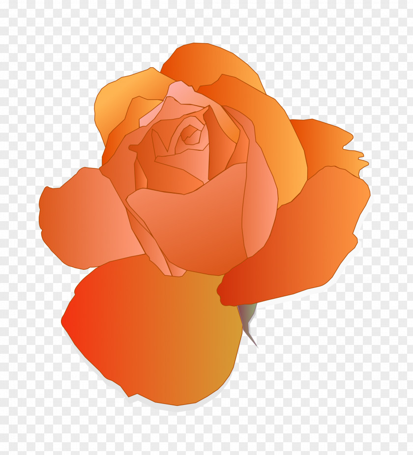 Orange Flower Blue Rose Clip Art PNG