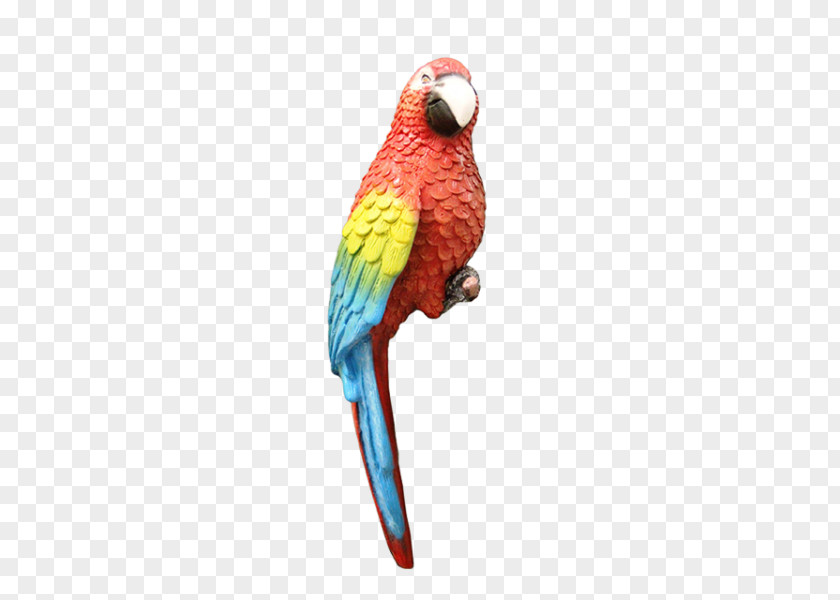 Parrot Bird Parrots Blue-and-yellow Macaw Parakeet Perroquet PNG