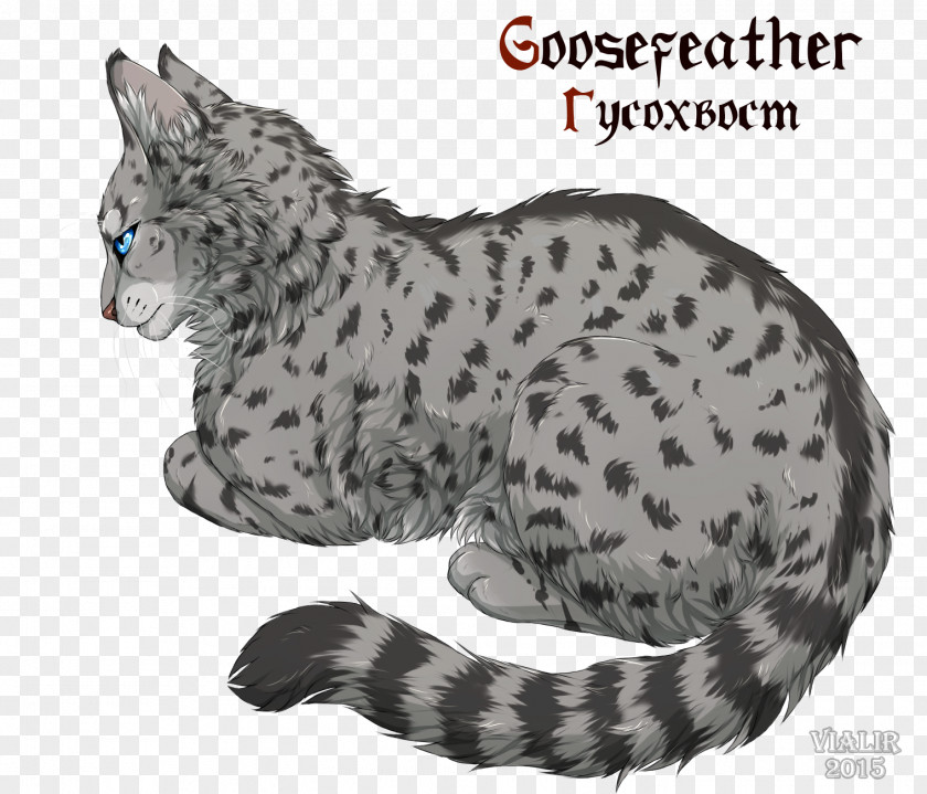 Real Cats Warriors Of The Clans Goosefeather Erin Hunter Lionblaze PNG