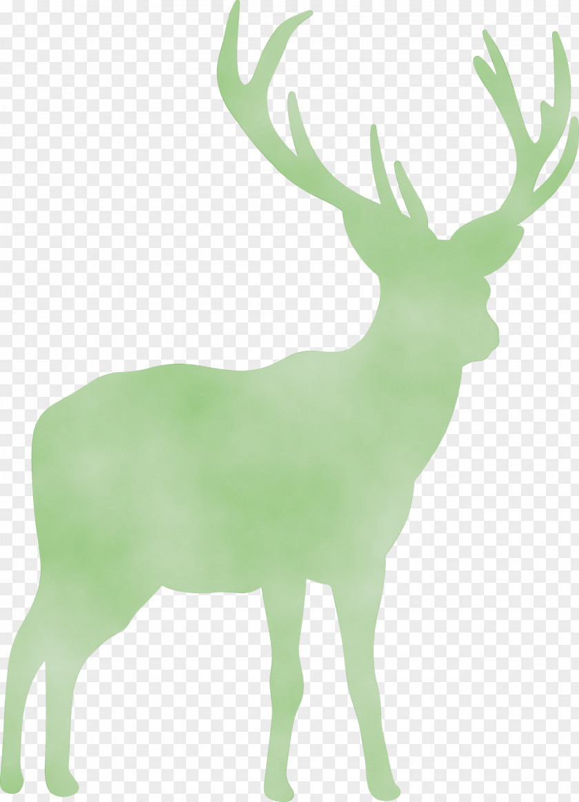 Reindeer PNG